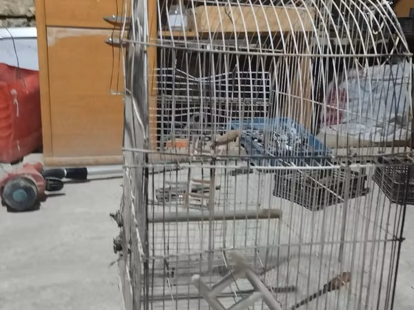 Metall quş qəfəsi dovşan tutuquşu göyərçin qəfəs - Material: möhkəm