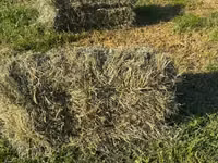 Խոտի տուկ Խառ խոտ — foto 2