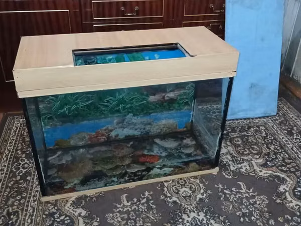 Ակվարիում 130 լ տարողություն