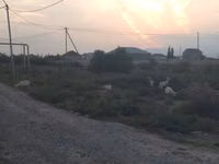 Koza, Kozy — foto 4