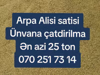 Arpa topdan satış - Yemlik arpa - Minimum sifariş miqdarı: 25 ton - — foto 2