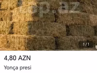 Məhsul: Yonca presi (balya şəklində quru ot/saman) Təsvir: - Heyvan — 照片 2