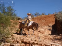 Айғыр, Pinto horses — 4-сурет