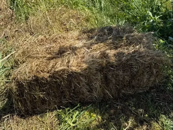 Կենդանիների խոտ տուկեր