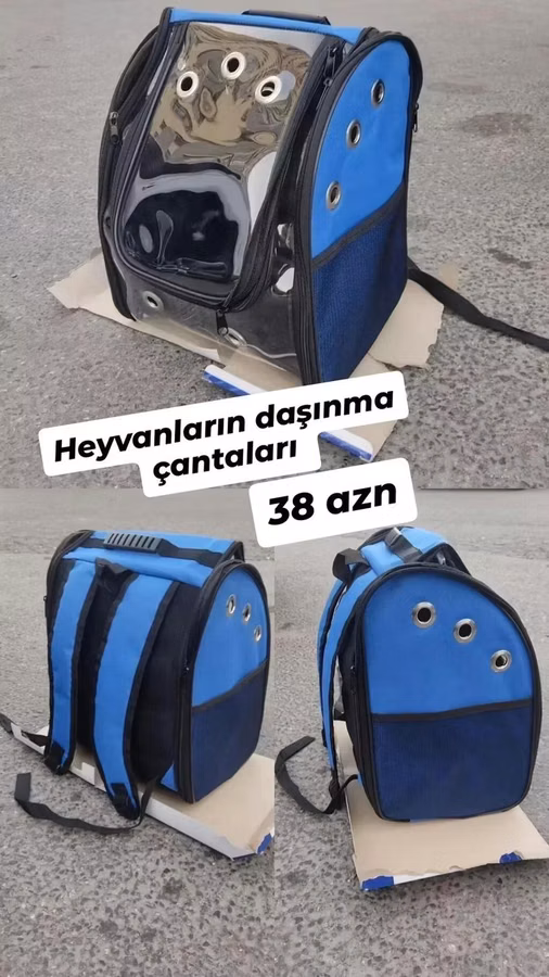 It pişik heyvanların daşınma çantaları satılır təzədir çatdırılma