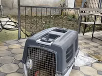 Heyvan daşıma konteyneri (pet carrier) - Material: möhkəm plastik — foto 1
