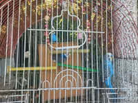 Yuva qarisiq satilir 25 azn — foto 1