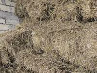 Əkin sahəsindən biçilmiş yaz otu satılır 
700 ədəd — Foto 2