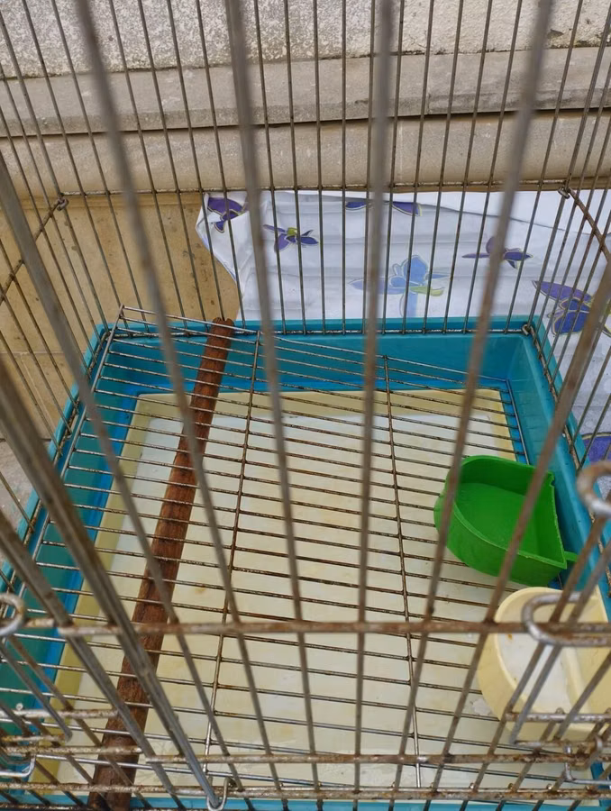 Quş qəfəsi - Material: metal barmaqlıq, plastik altlıq - Ölçü