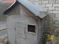 Taxta toyuq/heyvan daxması - Material: qalın faner taxta karkas — foto 3