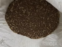 Bug’doy sotiladi — foto 4