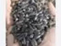 Семечки сухие !!! — photo 3
