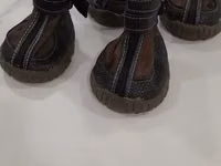 Ճթքավոր կոշիկներ — foto 1
