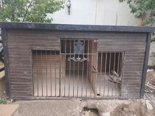Salam it damıdı satılır3 metr uzunu 2 metr eni, 1.50 sm uzunluğudu