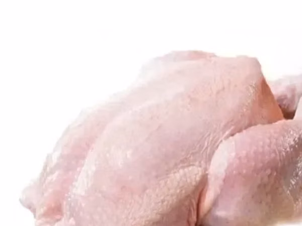 Հնդկահավի միս թրչնամիս
