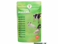 Spirulina Organic Product — Foto 1