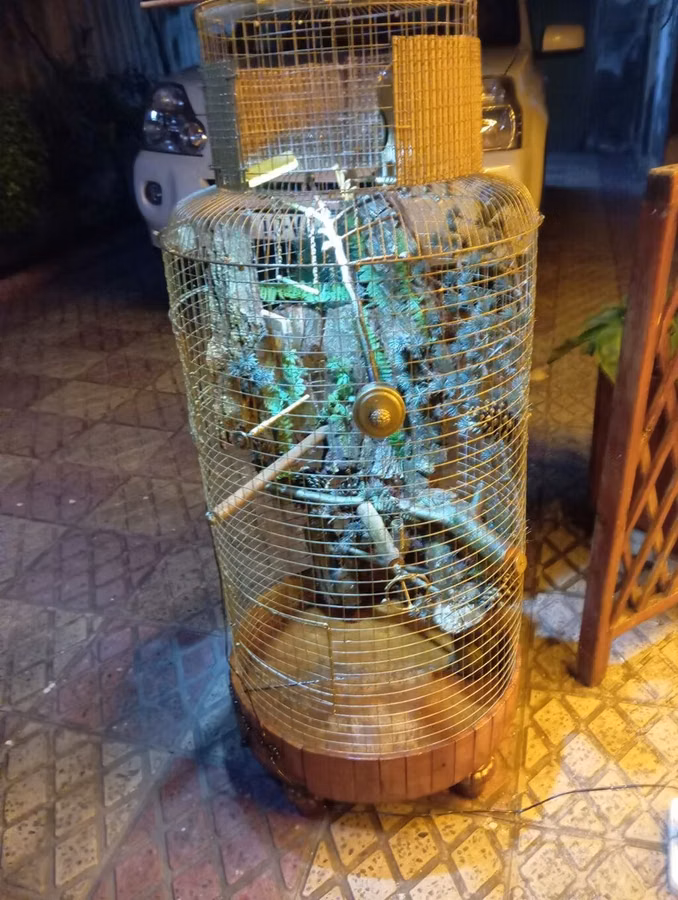 Dekorativ quş qəfəsi – əl işidir - Material: metal tor, taxta baza və