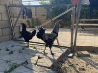 பிரஹ்மா — புகைப்படம் 1