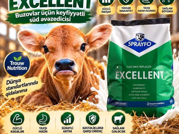 SPRAYFO Exellent – Buzovlar üçün quru süd / süd / süd qurusu / buzov