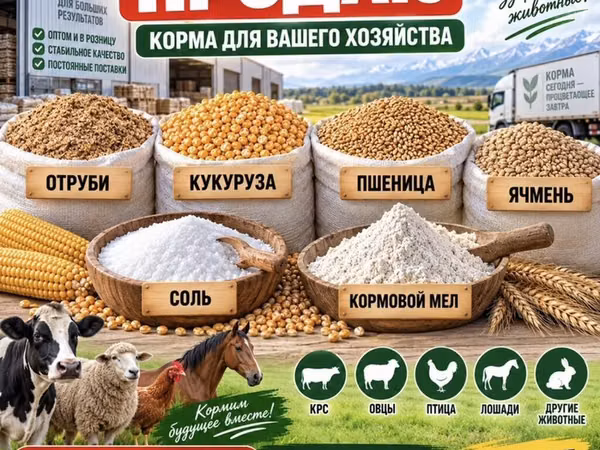 Корма для вашего хозяйства Ассортимент: - Отруби - Кукуруза - Пшеница