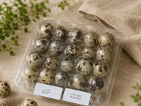Quails — 写真 2