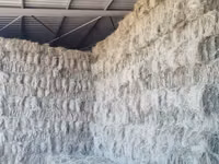 Eragrostis bales - Small (For Sale) — сүрөт 1