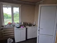 Krava, Bukovinský průmyslový typ červenobílé ukrajinské krávy — foto 4