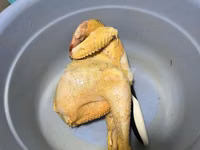 Chickens — Foto 6