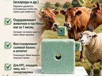 ЛИМИСОЛ-Ф ПРЕМИУМ — соль-лизунец против паразитов Назначение: - — photo 1