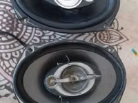 ஆண் வெள்ளாடு, வெள்ளாடுகள் — புகைப்படம் 7