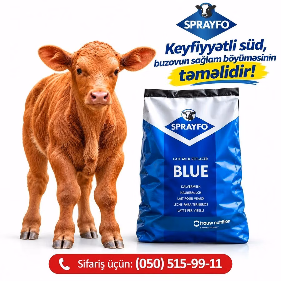 SPAYFO BLUE – buzovlar üçün süd əvəzləyicisi / quru süd / süd / buzov