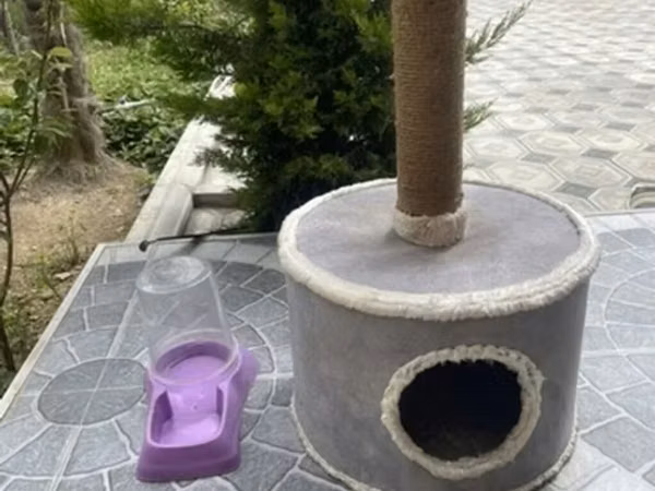 Pişik üçün oyun və istirahət dəsti.Yeni kimidir