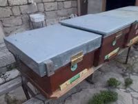 Arıçılıq üçün taxta arı yeşikləri (pətəklər). İçində 6 ay arı — 照片 1