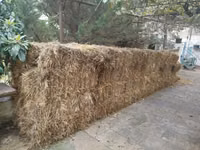 Samanlar satılır qoyunları satmisiq deye boş boş qalıb ona göre — foto 4