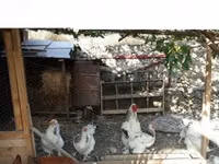 பிரஹ்மா — புகைப்படம் 2