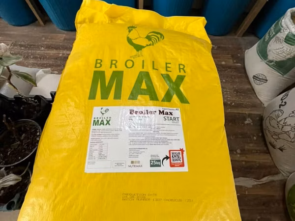🐥 BROILER MAX START – Broyler cücələri üçün yem ✅ Keyfiyyətli qranul