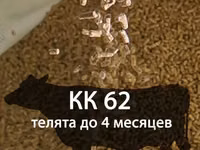Комбикорм-концентрат для телят (гранулированный) — 照片 3