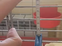 Клетка для птиц 705040 см (с кормушками) / Bird Cage — 照片 3
