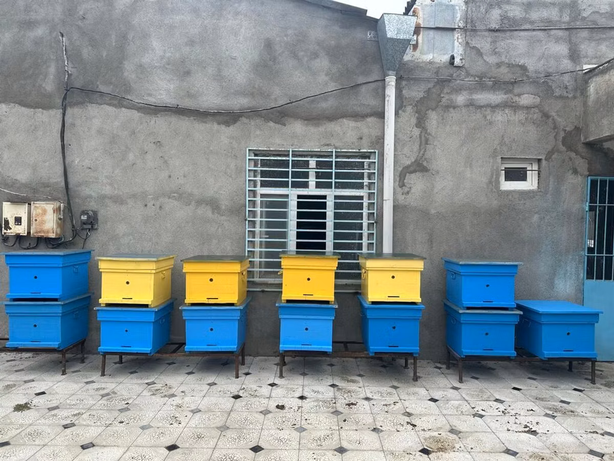 Arıçılıq üçün taxta arı pətəkləri - Model: çoxkorpuslu taxta pətək -