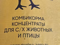 Broyler cuce yemleri
Rusiya istehsali PURINA — zdjęcie 1