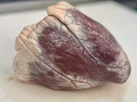 Субпродукты беларусь легкие,почки,трахеи — foto 1