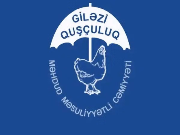 Chickens — Ozarbayjon
