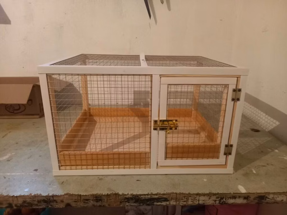 Dovşan,hamster,şinşila,bildirçin,cücə,xamyak,pişik,quş ve s kimi ev