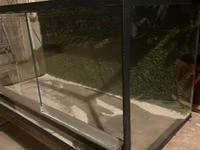 Şüşə teraryum/vivaryum akvarium tipli şkaf - Material: qalın şüşə — фото 2