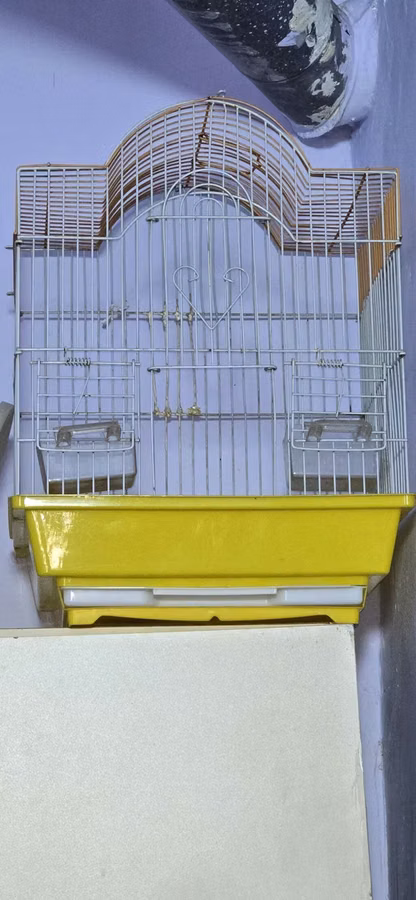 Unvan Qaracuxur qiymet son