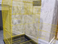 Böyük ölçülü quş qəfəsi - Material: möhkəm metal barlar, açıq sarı — foto 3