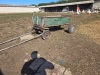 Caballo, Caballos — foto 1