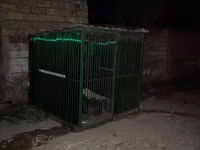 Metalkarkas heyvan qəfəsi / açıq hava volyeri - Material: tam metal — 照片 1