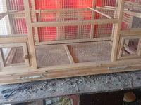 Taxta quş qəfəsi/volyer - Material: möhkəm taxta karkas, xırda gözlü — 照片 2