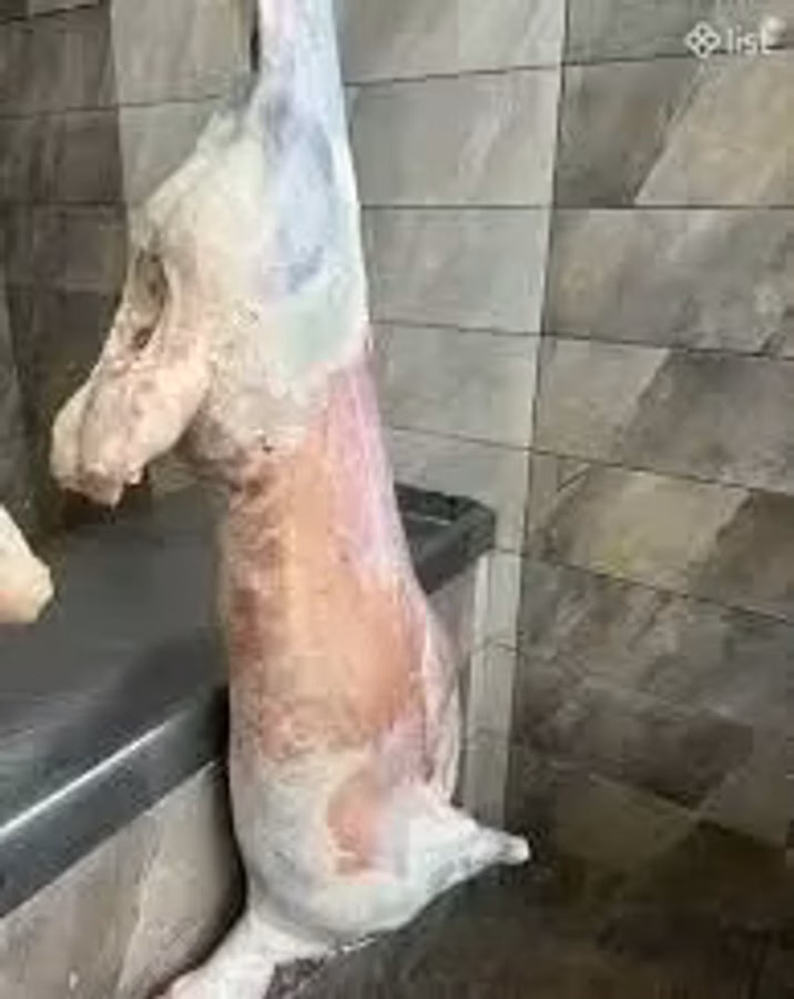 Գառի թարմ միս կիլոգրամով